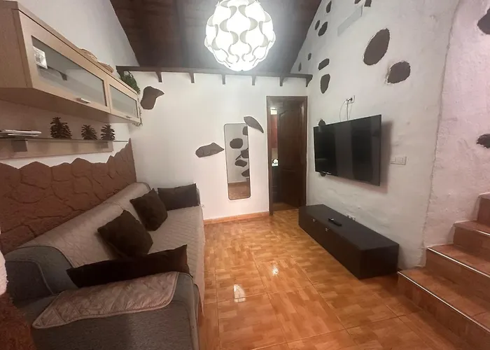 Palmera 16